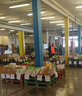 Portalegiovani Portalegiovani