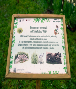 Portalegiovani Portalegiovani