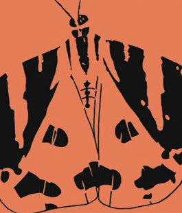 "La Falena", presentazione della rivista teatrale al Cantiere Florida di Firenze