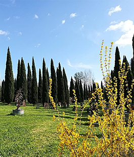 Portalegiovani