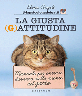 Portalegiovani Portalegiovani