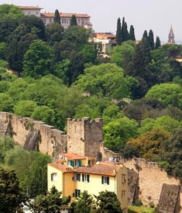 Portalegiovani