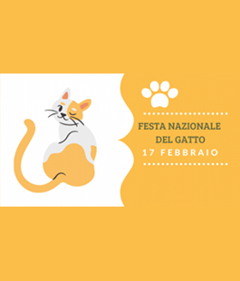 Portalegiovani