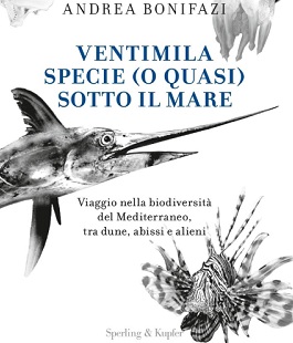 Portalegiovani