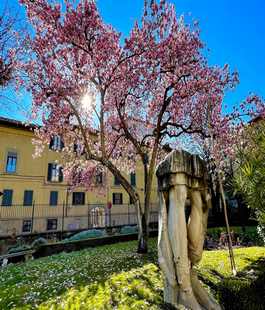 Portalegiovani Portalegiovani