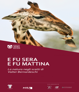 Portalegiovani