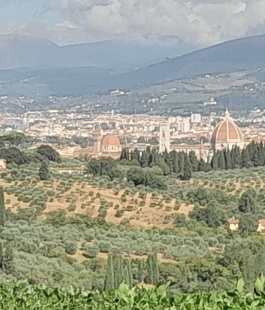 Portalegiovani