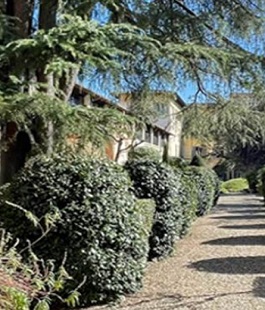 Portalegiovani Portalegiovani