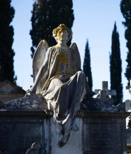 Portalegiovani Portalegiovani