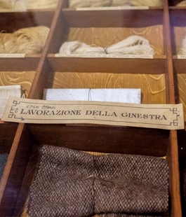Portalegiovani