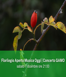 Portalegiovani Portalegiovani