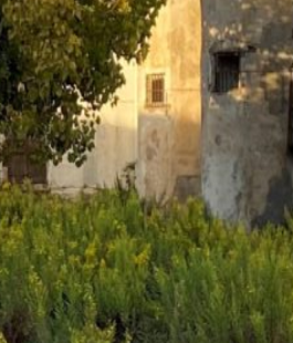 Portalegiovani