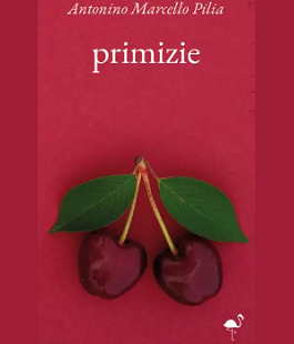Portalegiovani