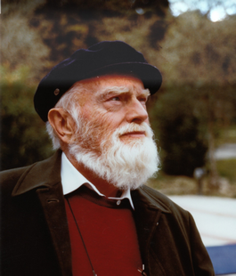 Portalegiovani