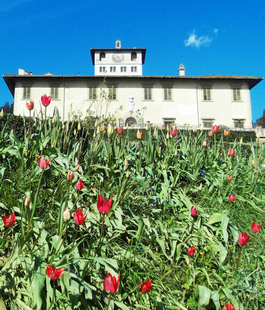 Portalegiovani