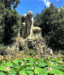 Portalegiovani
