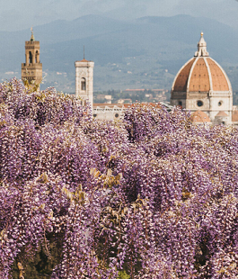 Portalegiovani