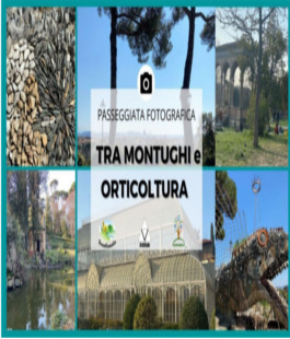 Portalegiovani Portalegiovani