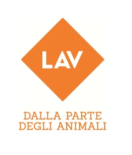 Portalegiovani