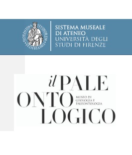 Portalegiovani